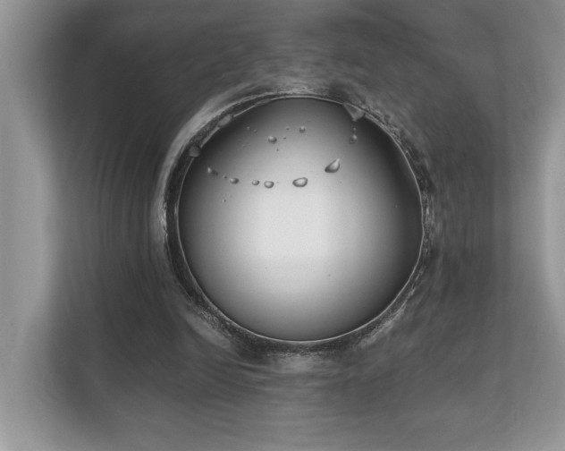 X0000110730246200906121454