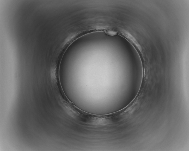 X0000110730249200906121454