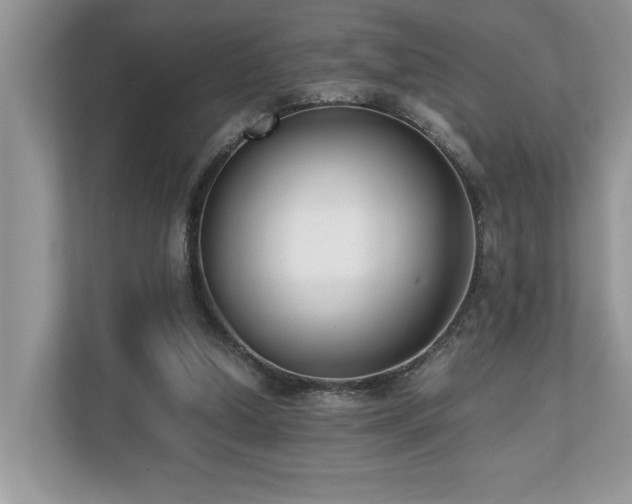 X0000110730250200906121454
