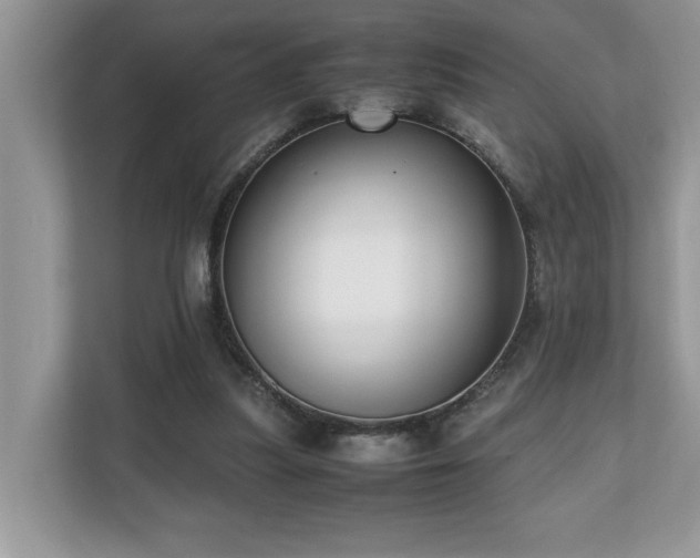 X0000110730251200906121454