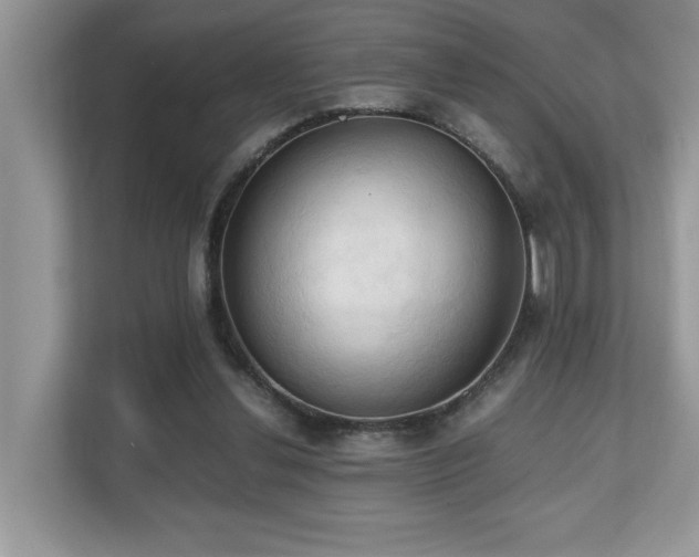 X0000110730252200906121454