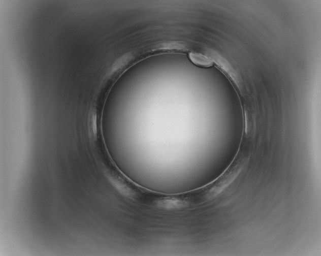 X0000110730253200906121454