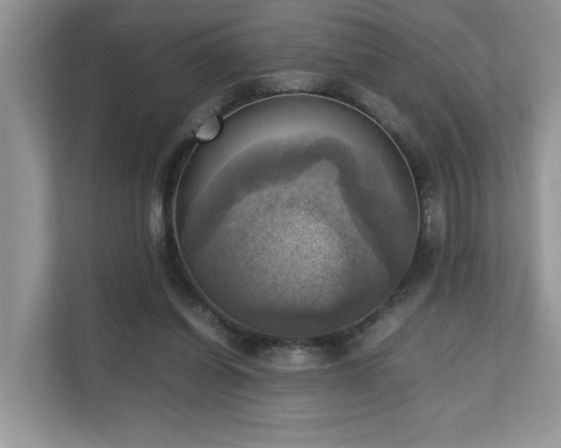 X0000110730254200906121454