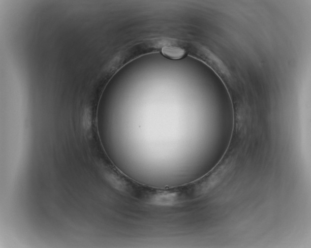 X0000110730257200906121454