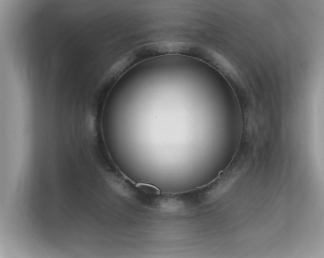 X0000110730258200906121454