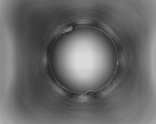 X0000110730261200906121454