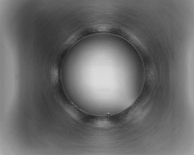 X0000110730262200906121454