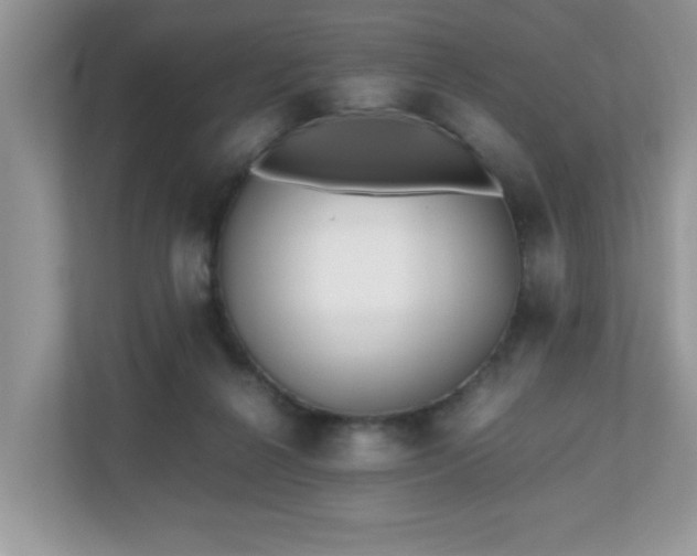 X0000110730264200906121454