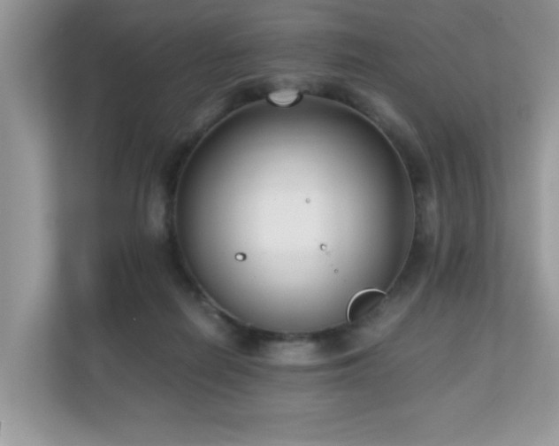 X0000110730266200906121454