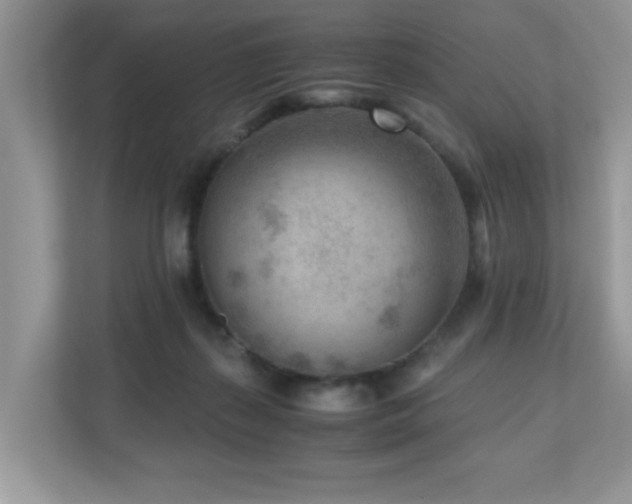 X0000110730267200906121454