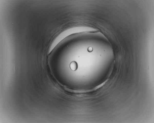 X0000110730268200906121454