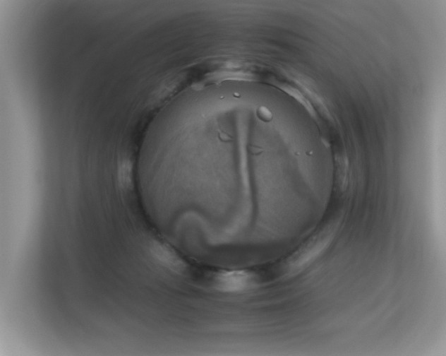 X0000110730269200906121454