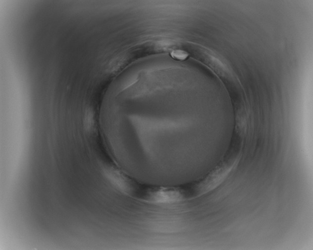 X0000110730270200906121454