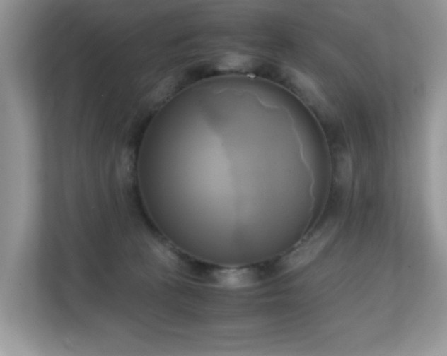 X0000110730273200906121454