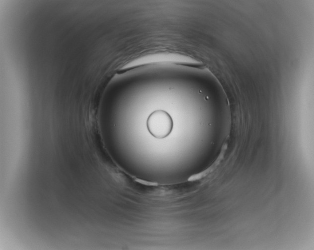 X0000110730276200906121454
