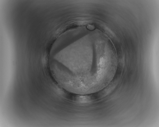 X0000110730277200906121454