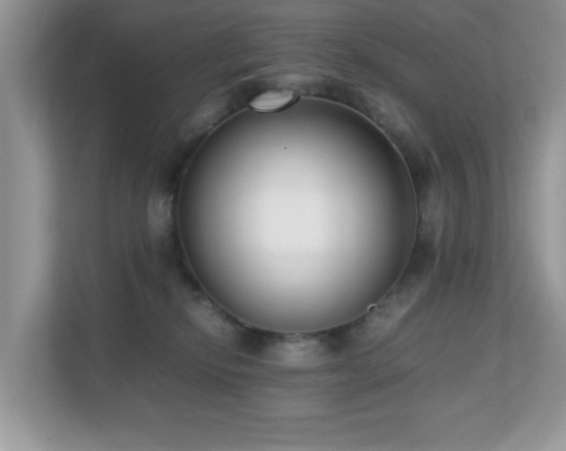 X0000110730278200906121454