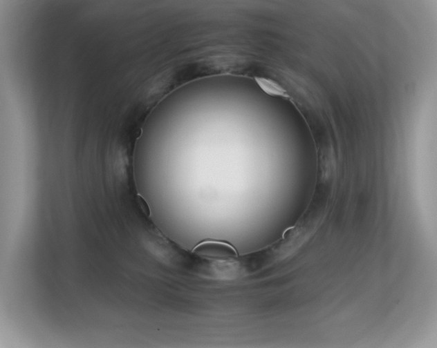 X0000110730279200906121454