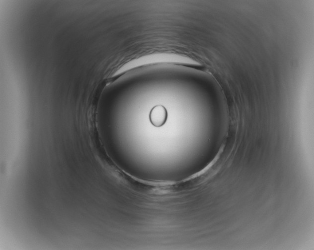 X0000110730280200906121454