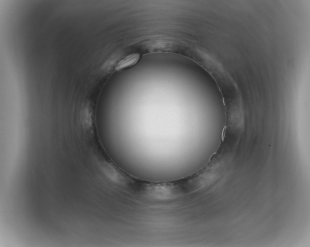 X0000110730282200906121454