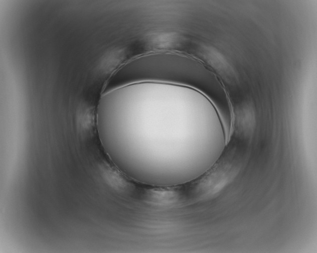 X0000110730284200906121454