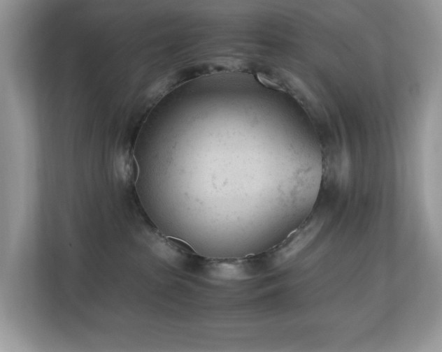 X0000110730285200906121454