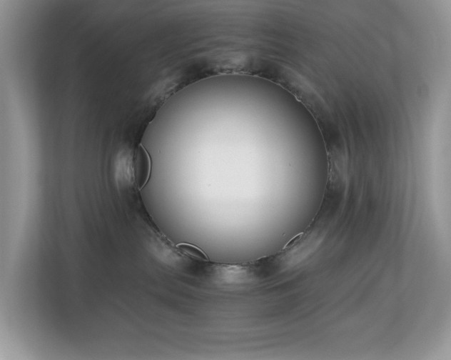 X0000110730287200906121454