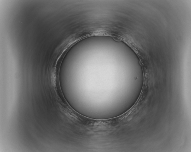 X0000110730290200906121454