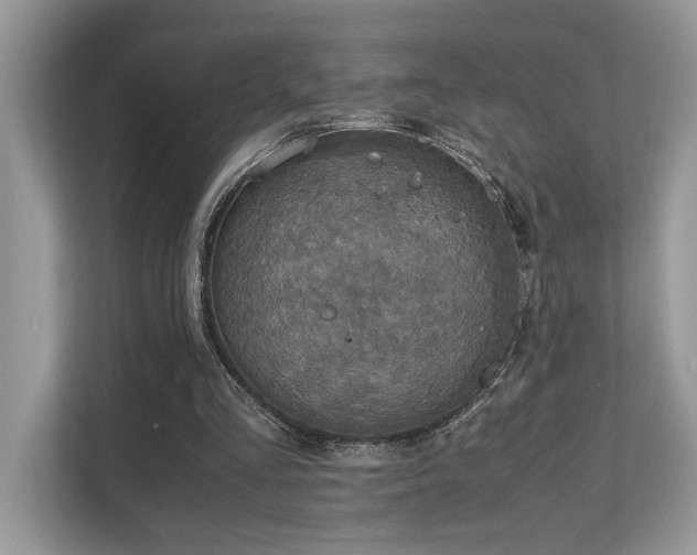 X0000110730293200906121454