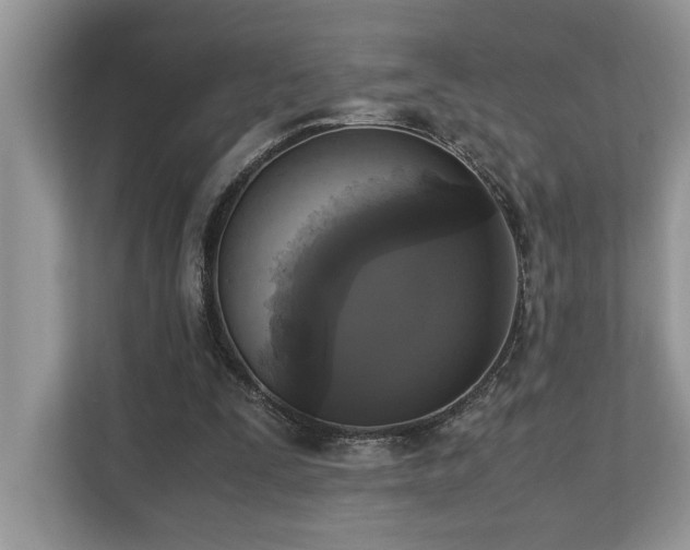 X0000110730295200906121454