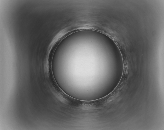 X0000110730296200906121454