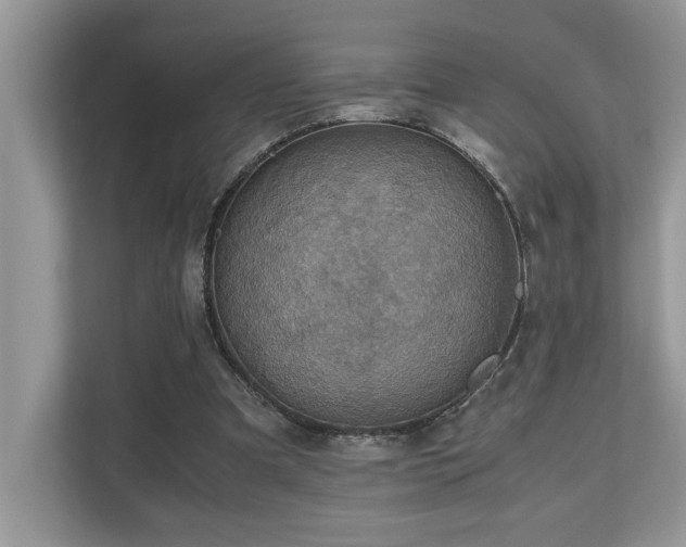 X0000110730297200906121454