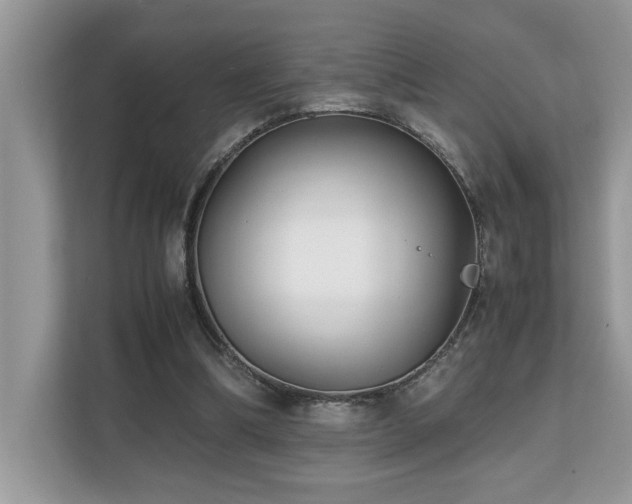 X0000110730298200906121454