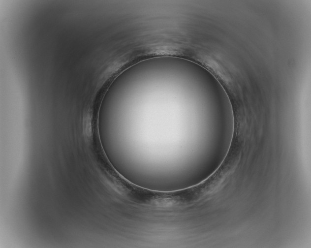 X0000110730299200906121454