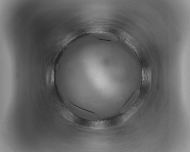 X0000110730301200906121454