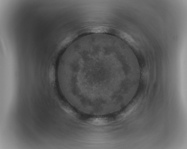 X0000110730303200906121454