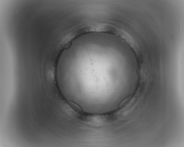 X0000110730305200906121454