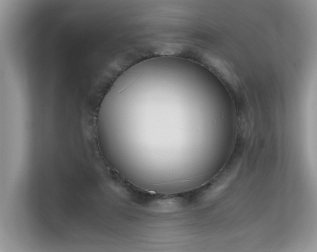 X0000110730307200906121454