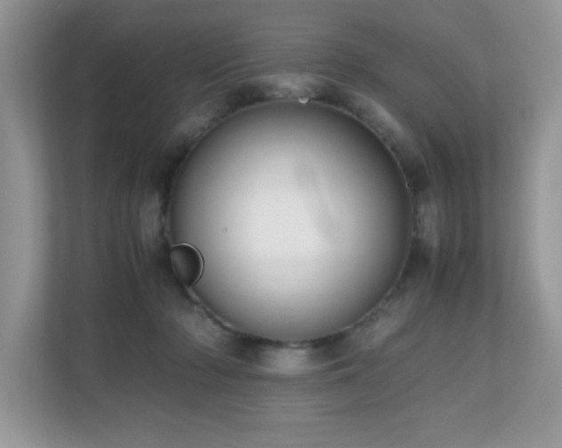 X0000110730318200906121453