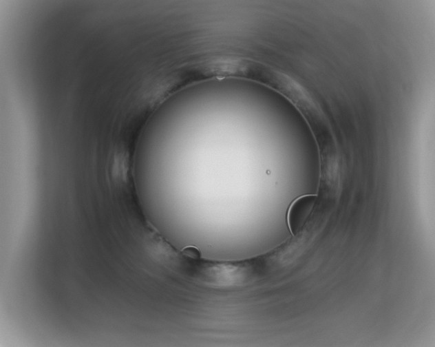 X0000110730326200906121453