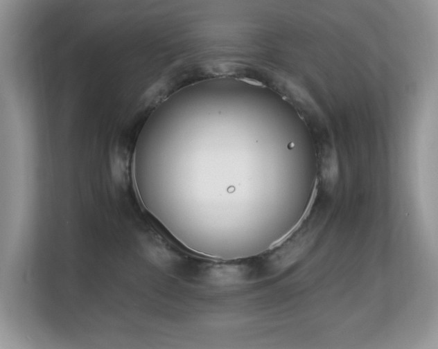X0000110730332200906121453