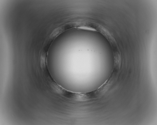 X0000110730333200906121453