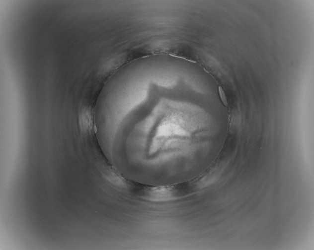 X0000110730335200906121453