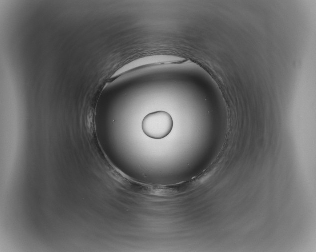 X0000110730336200906121453