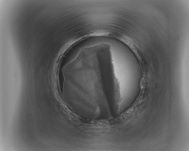 X0000110730337200906121453