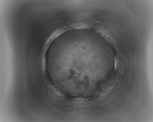 X0000110730339200906121453