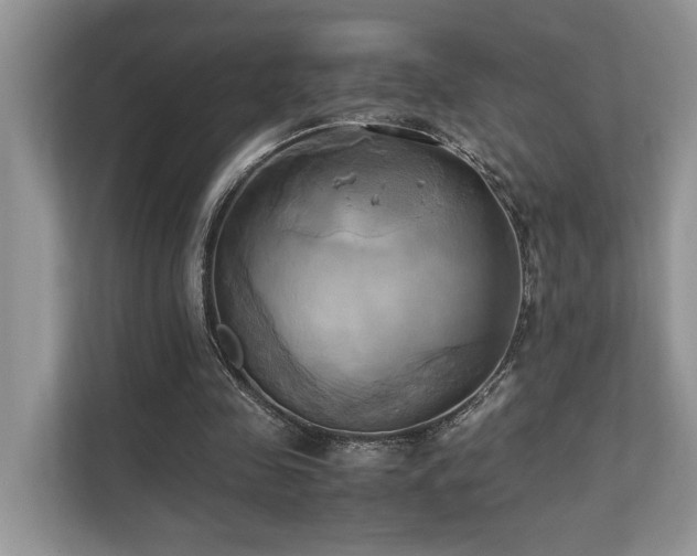 X0000110730341200906121453