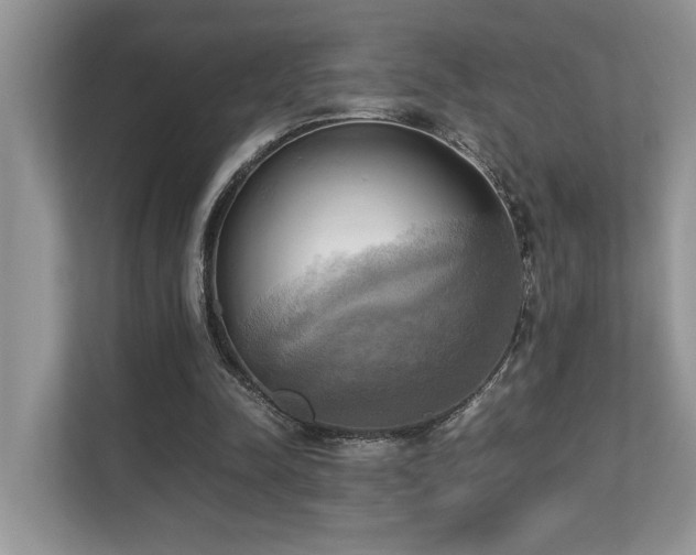 X0000110730342200906121453