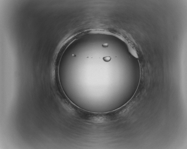 X0000110730344200906121453