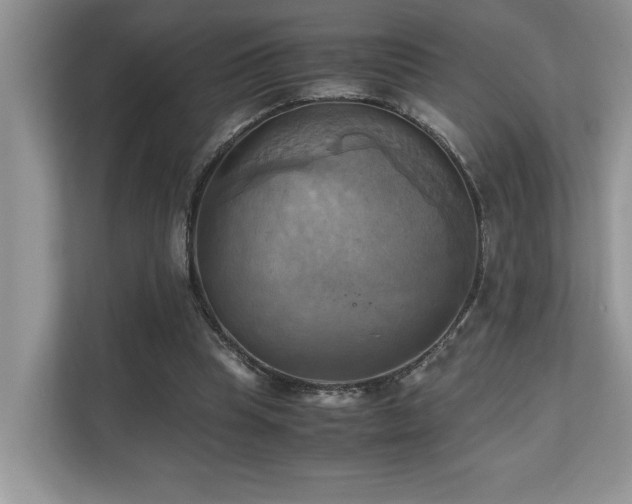 X0000110730345200906121453